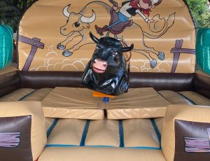 toro mecanico